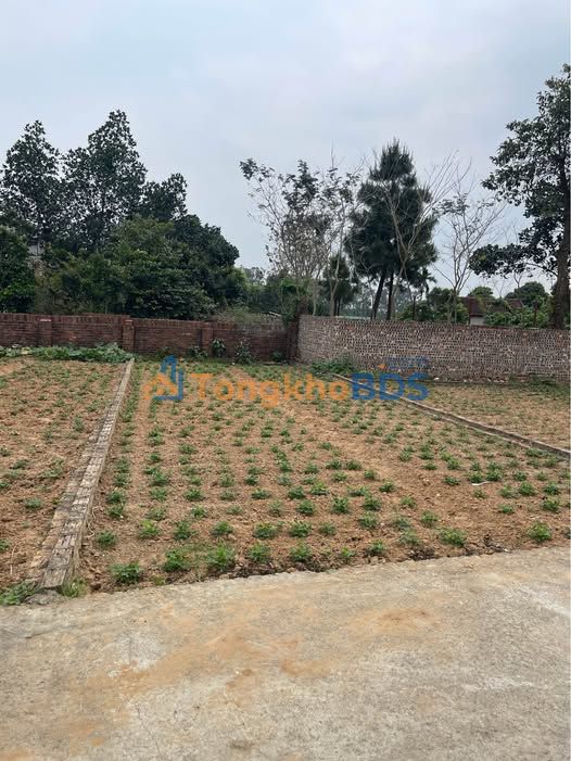 Đất Nền Sóc Sơn 80m² Full Thổ Cư - View Núi, Giá Dưới 2 Tỷ