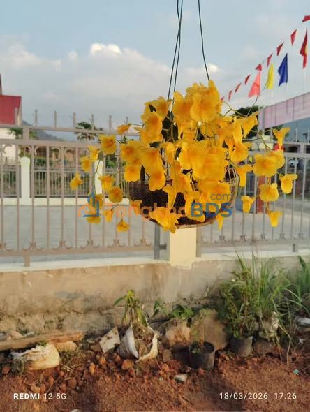 Đất Đam Rông Lâm Đồng 2520m² Sổ Hồng - Giá 800 Triệu