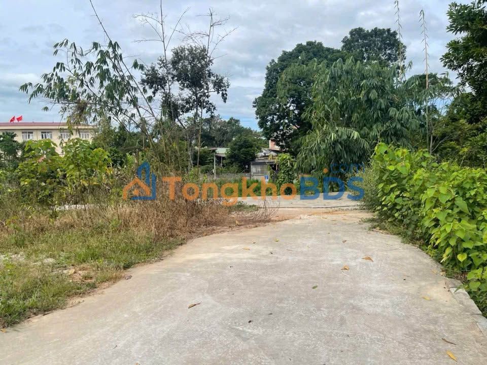 Đất thổ cư 101m² Đồng Hỷ, Thái Nguyên - Sổ đỏ sẵn sàng, giá 7xx triệu