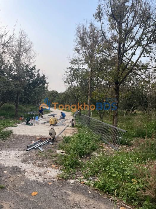 Bán đất thổ cư 100m² tại Khu Khang Thịnh 3, Long An - Sổ hồng riêng