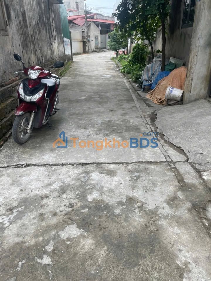 Đất Nền Vân Từ Thường Tín 100m² - Ô tô Đỗ Cửa, Giá Tốt