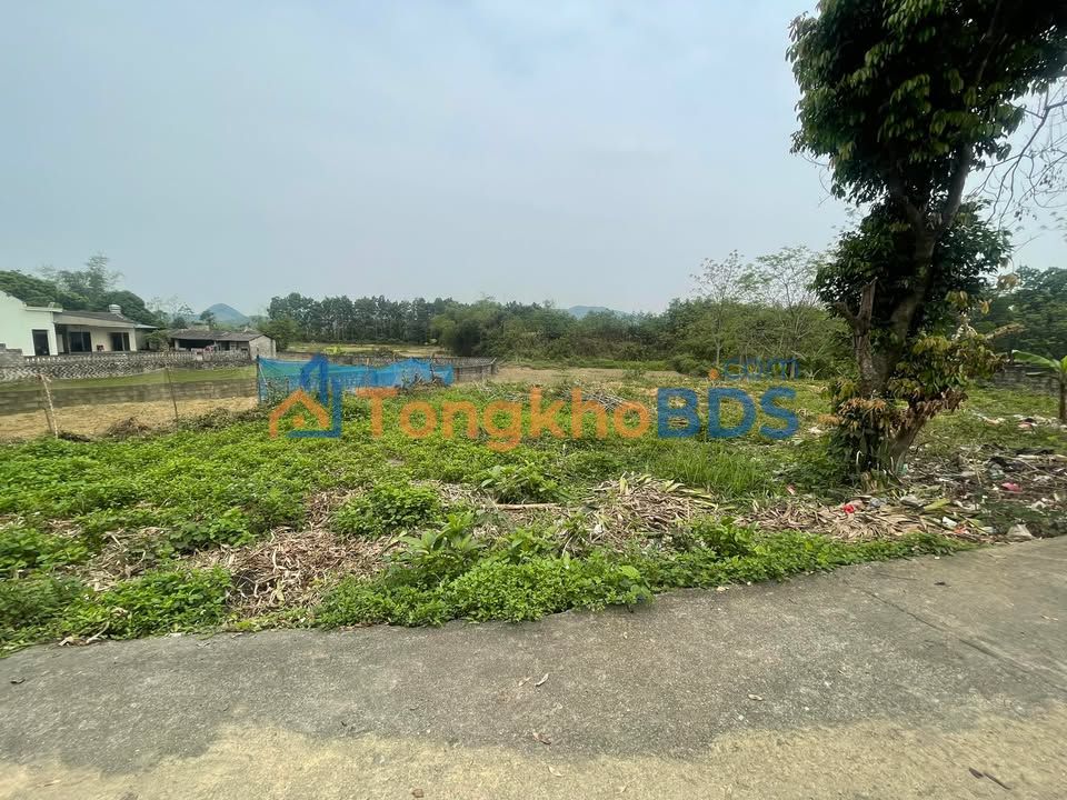 Đất nền Đại Từ 600m² - Sổ đỏ chính chủ, đầu tư sinh lời