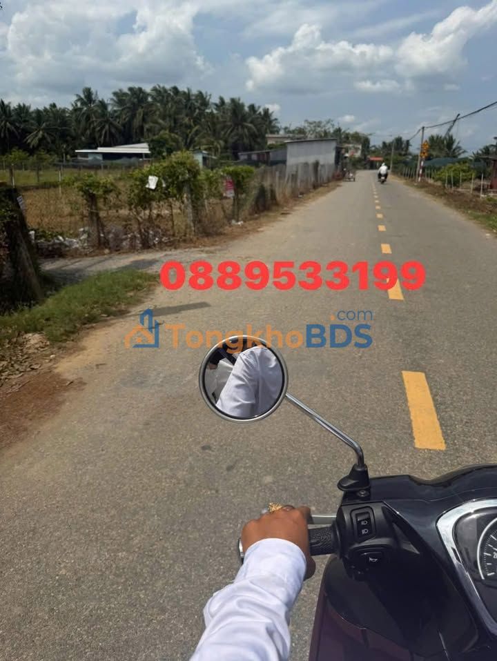 Bán Gấp Đất Vườn 3180m² Mặt Tiền Lộ Nhựa 63m Tại Chợ Lách, Bến Tre - Giá Tốt