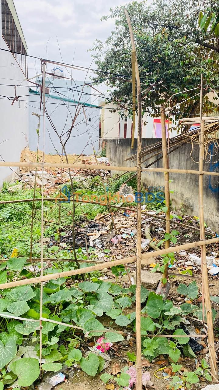 Bán Đất Trục Chính Thanh Chương 84m² Hướng Nam - Sẵn Sàng Xây Dựng