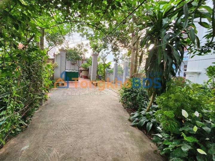 Đất Nền Gia Lâm 56.6m² - Sổ Đỏ Sẵn, Giá Tốt