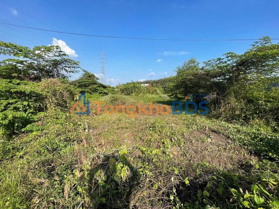 Đất Nền Trần Thị Hò, Củ Chi - 190m² Full Thổ Cư, Sẵn Sàng Kinh Doanh