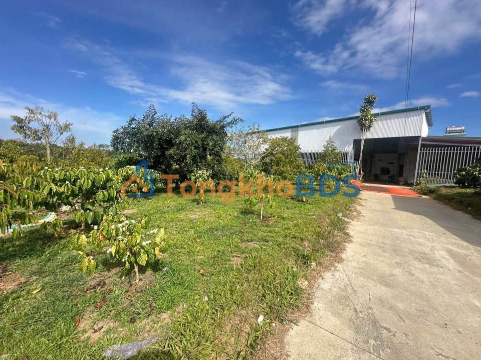 Bán Gấp Đất Vườn 8 Sào Tại Hoà An, Cao Bằng - Sổ Hồng Riêng