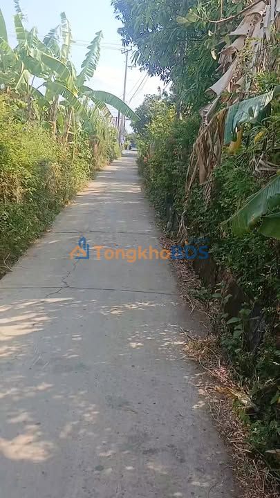 Đất Full Thổ Cư Gò Công - 150m² - Giá 600 Triệu - Sổ Hồng Sẵn Sàng