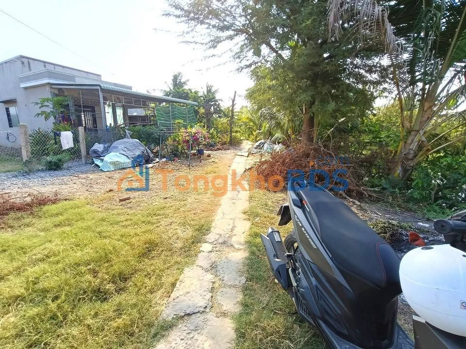 Đất Vườn 1040m² Gò Công Tây, Tiền Giang - Sổ Hồng Sẵn Sàng
