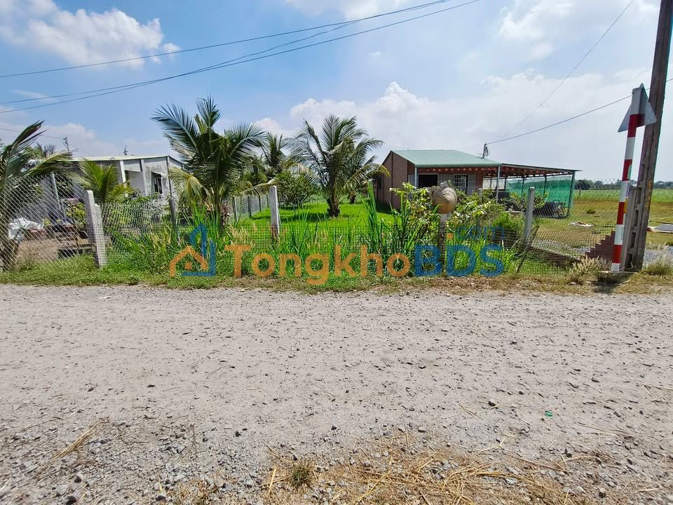 Đất Nở Hậu Dương Minh Châu, Tây Ninh - 276m² Sổ Đỏ, Giá Chỉ 500 Triệu