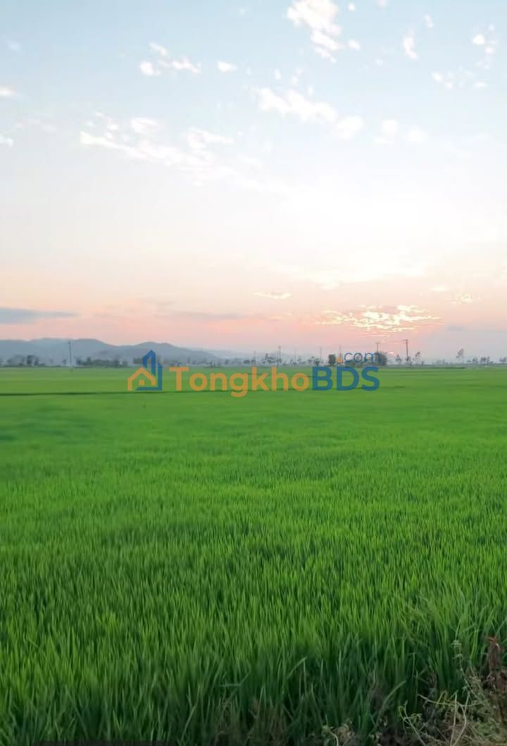 Đất Vườn Đăk Lăk 500m² - Lộc Nước Quanh Năm, Giá Đầu Tư 3.2 Tỷ