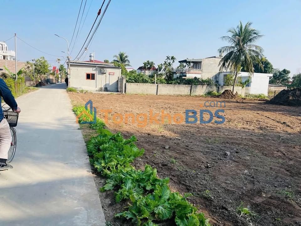 Đất Thổ Cư 2000m² Quảng Xương, Thanh Hóa - Sổ Đỏ Rõ Ràng, Giá Tốt