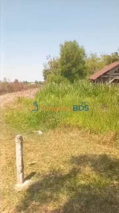 Đất nền Bến Cầu Tây Ninh 1000m² - Sổ hồng sẵn, giá đầu tư 3 tỷ