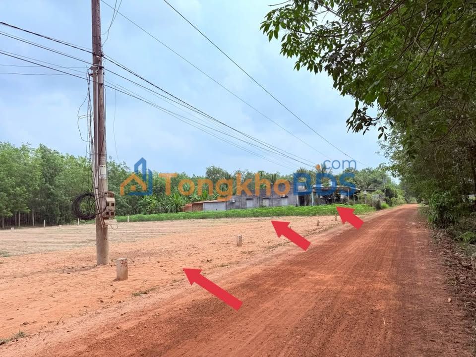 Đất Vàng Châu Thành, Tây Ninh 150m² - Sổ Đỏ Sẵn Sàng - 195 Triệu