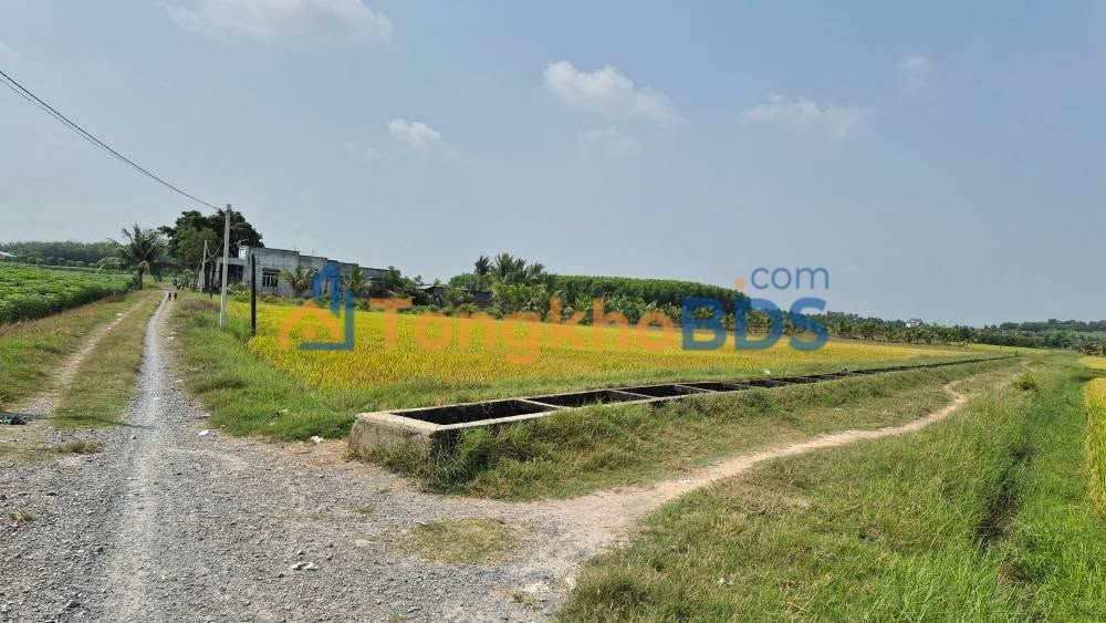 Bán Gấp 20.000m² Đất Vườn Ninh Thuận - Dương Minh Châu, Tây Ninh - Giá 12 Tỷ