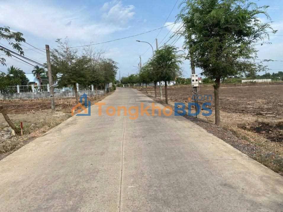 Đất Nền MT Nguyễn Thị Bài, Cần Giuộc - 115m² - Sổ Đỏ Sẵn Sàng