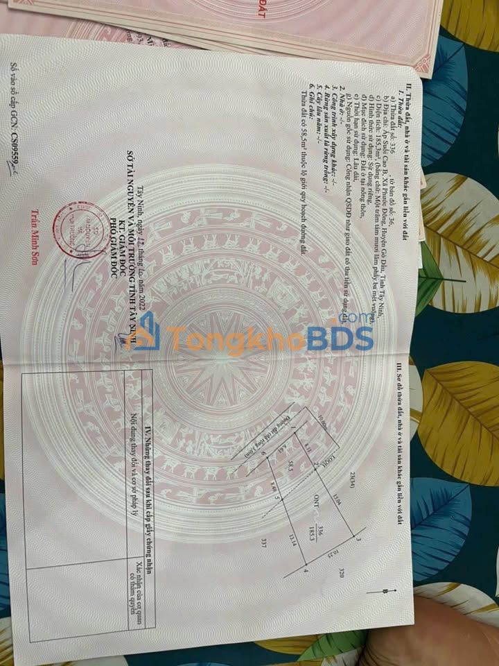 Đất Trảng Bàng 180m² Full Thổ Cư - Giá Ngộp 480 Triệu