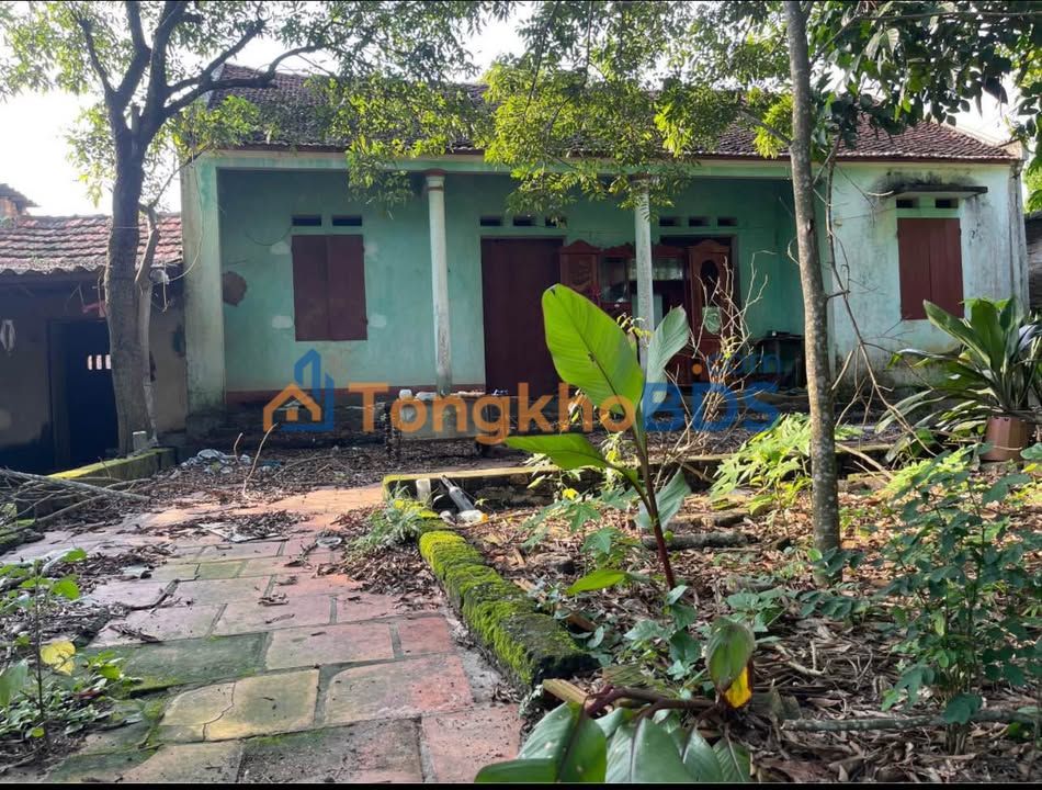 Đất Vườn 975m² Lạng Giang, Bắc Giang - Tiềm Năng Đầu Tư & Nghỉ Dưỡng