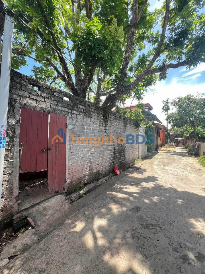 Đất thổ cư Lạng Giang 142m² - Sổ đỏ sẵn sàng, giá chỉ 8xx triệu