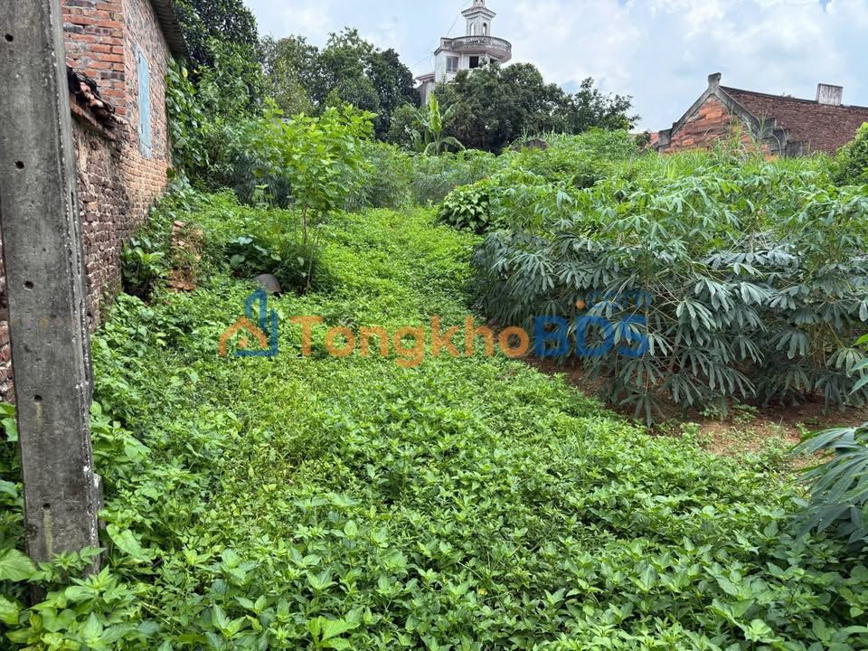 Đất nền 462m² Hạ Lát, Bắc Ninh - Sổ hồng, gần chợ & KCN Tiên Sơn