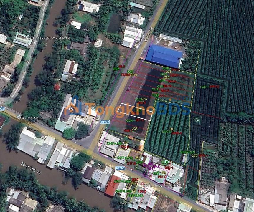 Đất Vĩnh Long Mặt Tiền ĐT909 Tam Bình 350m² - Giá Đầu Tư 1.57 Tỷ