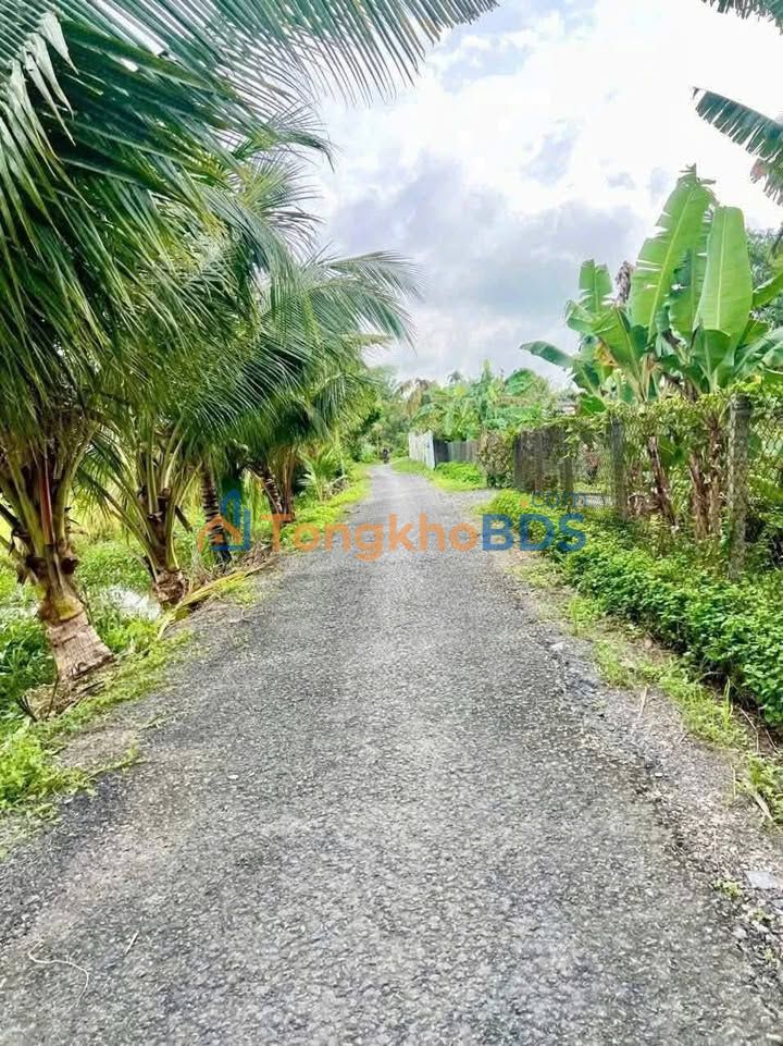 Đất Vĩnh Long 150m² Đường Huyện 44, Giá 280 Triệu - Sổ Sẵn