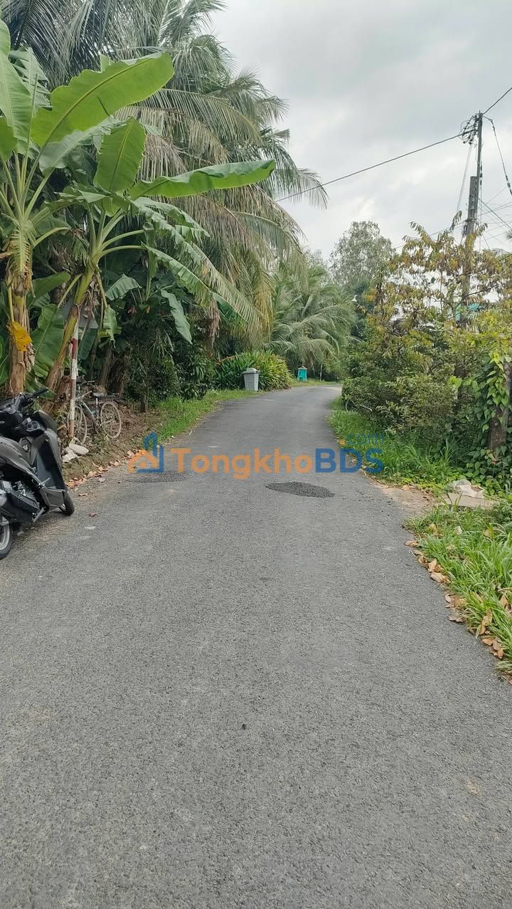 Bán Đất Long Phước Vĩnh Long 338.5m² - Mặt Tiền Đường Nhựa Ô Tô