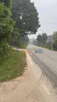 Đất Nền Tam Nông, Phú Thọ 290m² - Sổ Hồng Sẵn Sàng, Giá Đầu Tư 1.0xx Tỷ