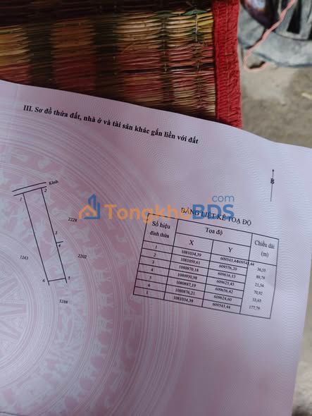 Bán Đất Nuôi Tôm 6300m² Sóc Trăng - Sẵn Ao, Điện Nước Đủ - Giá Tốt