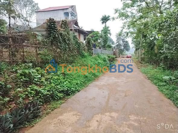 Bán Gấp Đất Nền 600m² Sổ Hồng Sẵn Tại Ngọc Lặc - Giá Chỉ 3xx Triệu