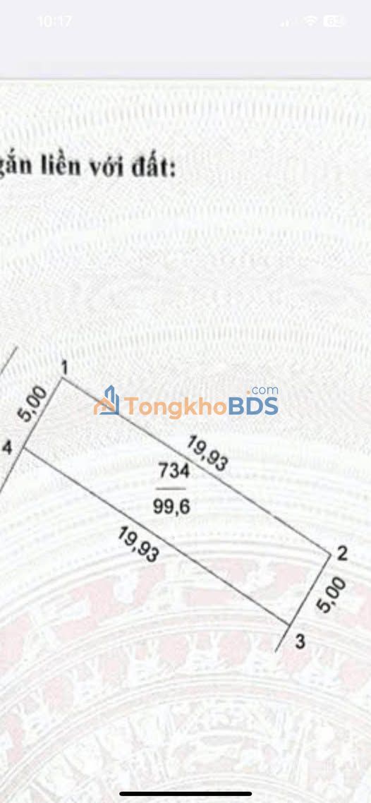 Đất nền 99.6m² Thường Tín - Kinh doanh sầm uất, đầu tư sinh lời