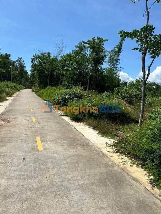 Đất Nền Định Quán Đồng Nai 125m² - Giá 480 Triệu, Sổ Hồng Sẵn Sàng