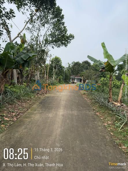 Đất Nền Thổ Cư 250m² Sao Vàng, Thọ Xuân - Bán Gấp Giá Tốt