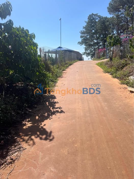 Đất Vườn Lâm Hà - 3500m² có 800m² Thổ cư - Giá 2.8 Tỷ