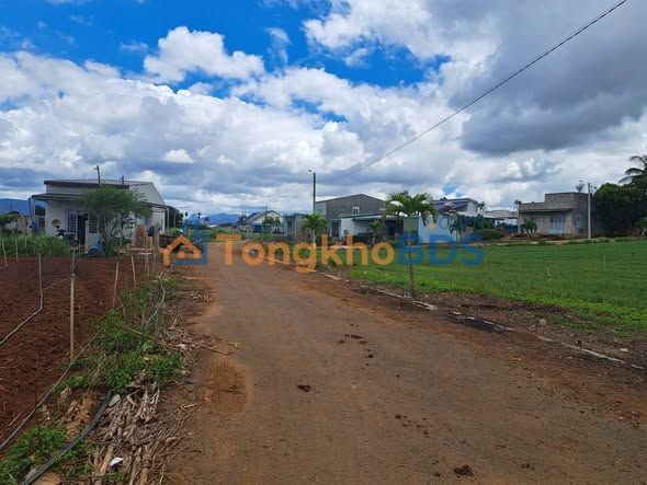 Bán Đất Hẻm Nhựa Hồ Xuân Hương, Đức Trọng - 130m² Thổ Cư, Sổ Riêng