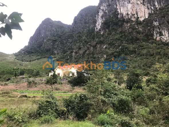 Đất nền phong thủy 3778m² tại Hạ Long - Sẵn sàng đầu tư