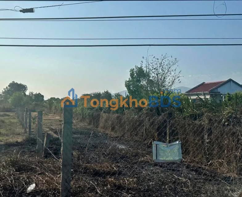 Đất Vườn Mặt Tiền Hàm Liêm 700m² - Giá Tốt Đầu Tư