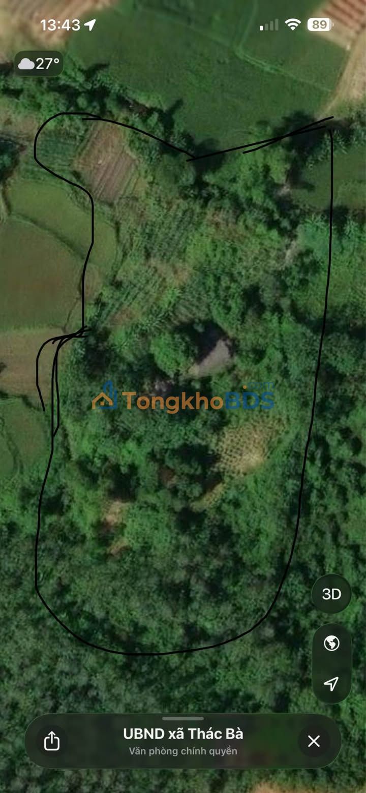 Bán/Cho thuê Đất Vườn Rừng 10.000m² Xã Thác Bà, Yên Bái - Sẵn Sàng Làm Trang Trại