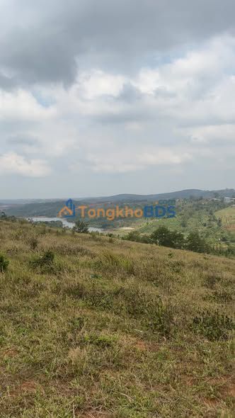 Đất Vườn Đắk Nông 360m² - Giá Đầu Tư 300 Triệu, Sẵn Xây Nhà Vườn