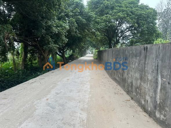 Đất nền Cương Chính Tiên Lữ 63m² 500 triệu - Đường to ô tô