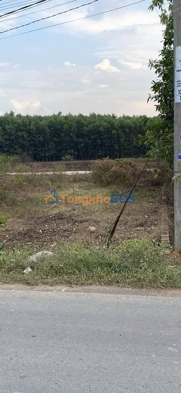 Đất Sổ Hồng Vĩnh Cửu 108m² - Mặt Tiền Đường Nhựa Xe Tải