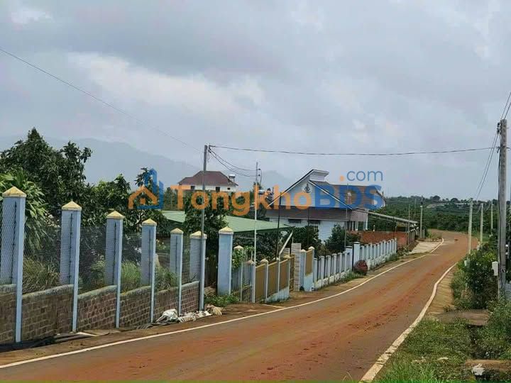 Đất nền Bảo Lộc 168m² - Sổ hồng sẵn, giá 1.39 tỷ - Cơ hội đầu tư sinh lời