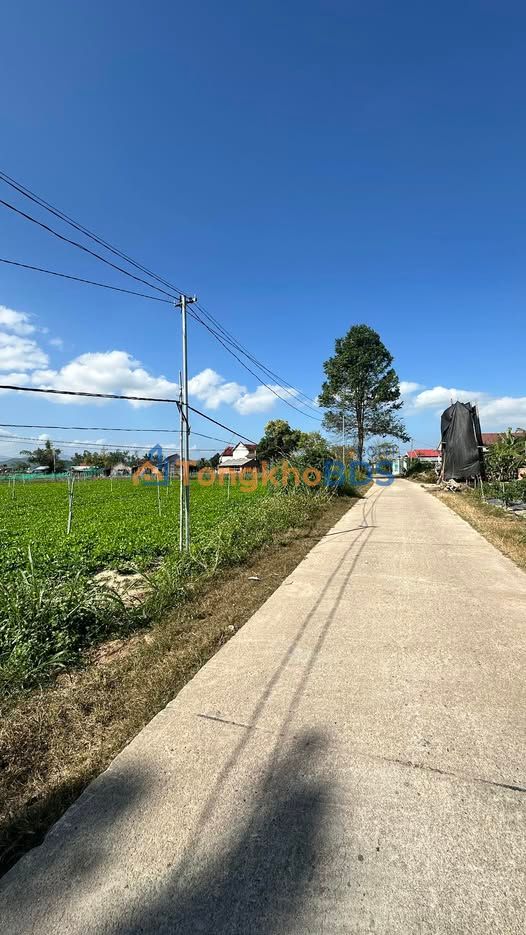 Đất Mỹ Thạch Bình Tân 2.000m² 2xx triệu - Sổ hồng rõ ràng