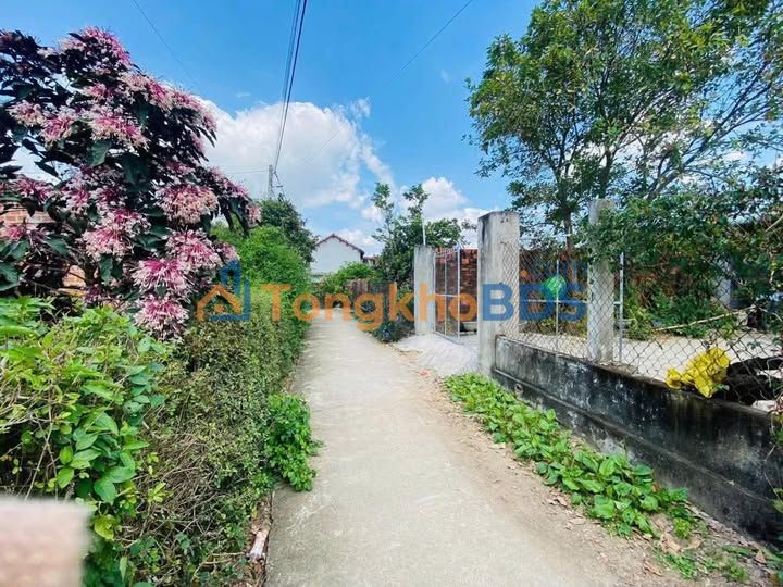 Đất Tây Phú Tây Sơn 226m² 600-699 triệu - Sổ đỏ chính chủ