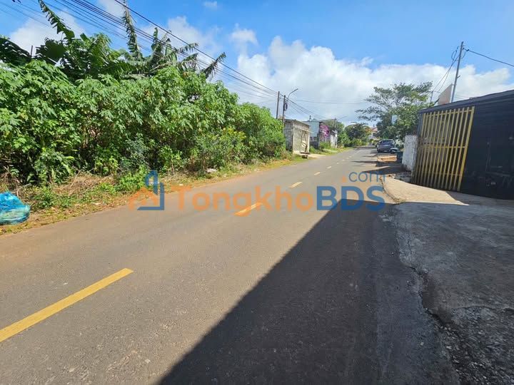 Đất Nền Mặt Tiền Mạc Đỉnh Chi, Bảo Lộc - 4776m² Thổ Cư, Sổ Hồng Sẵn Sàng