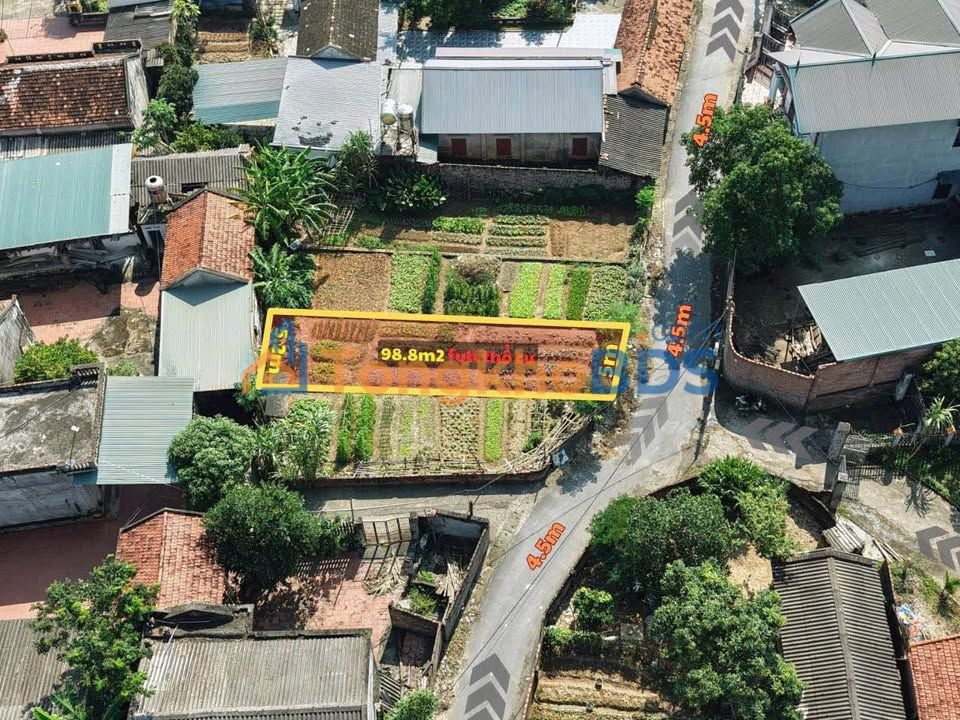 Đất Nền Tam Đảo 100m² - Sổ Đỏ Sẵn Sàng - Vĩnh Phúc