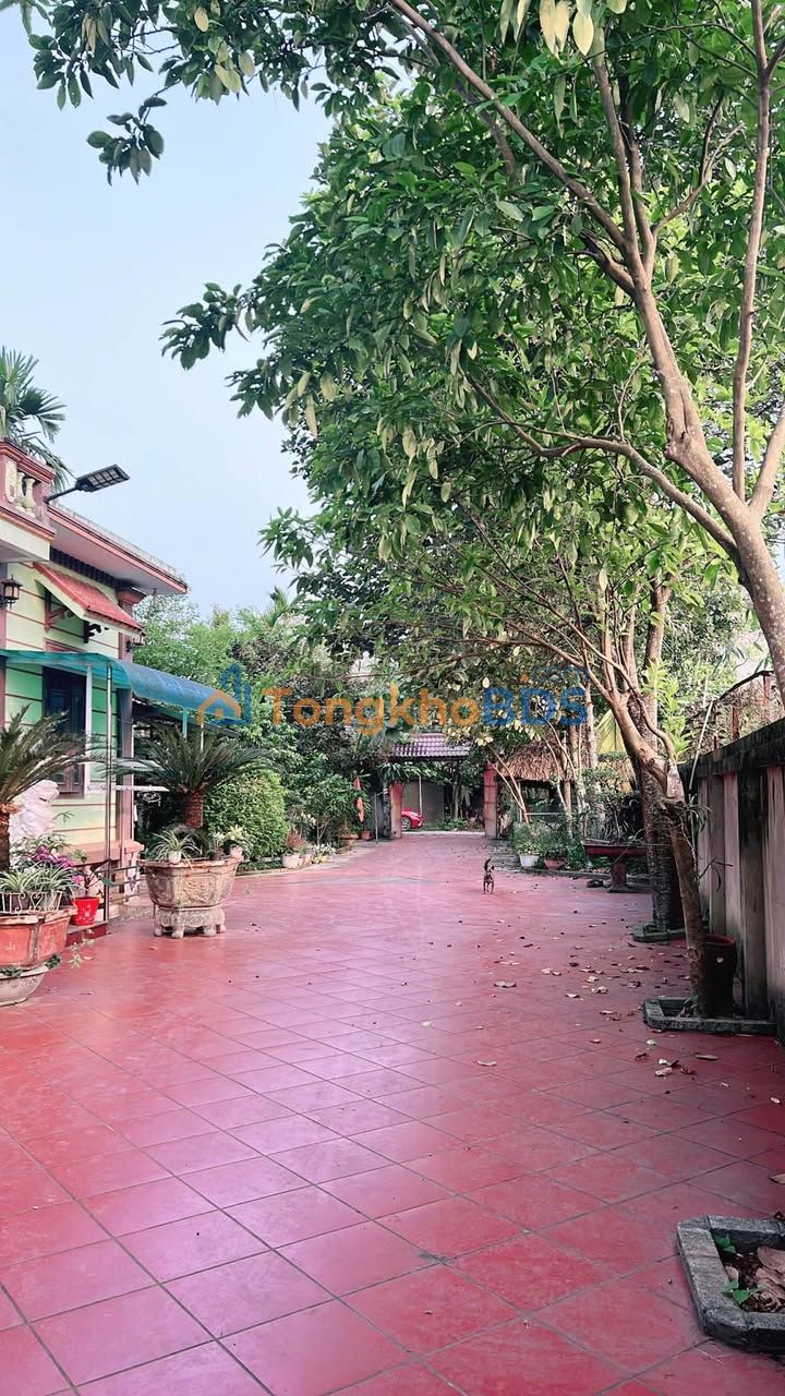 Bán Gấp 2 Lô Biệt Thự Liền Kề Mặt Tiền Kinh Doanh An Dương Vương, Mỹ Hào, Hưng Yên