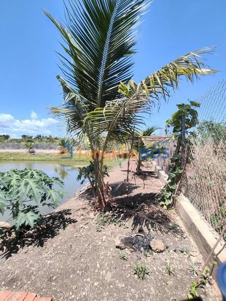 Bán Gấp Nhà Vườn 2300m² Vĩnh Cửu, Đồng Nai - Sổ Riêng, Giá Hơn 2 Tỷ