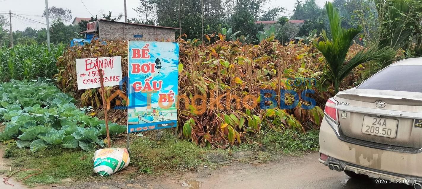 Đất nền Thịnh Hưng 1580m² 1 tỷ - Tiềm năng tăng giá