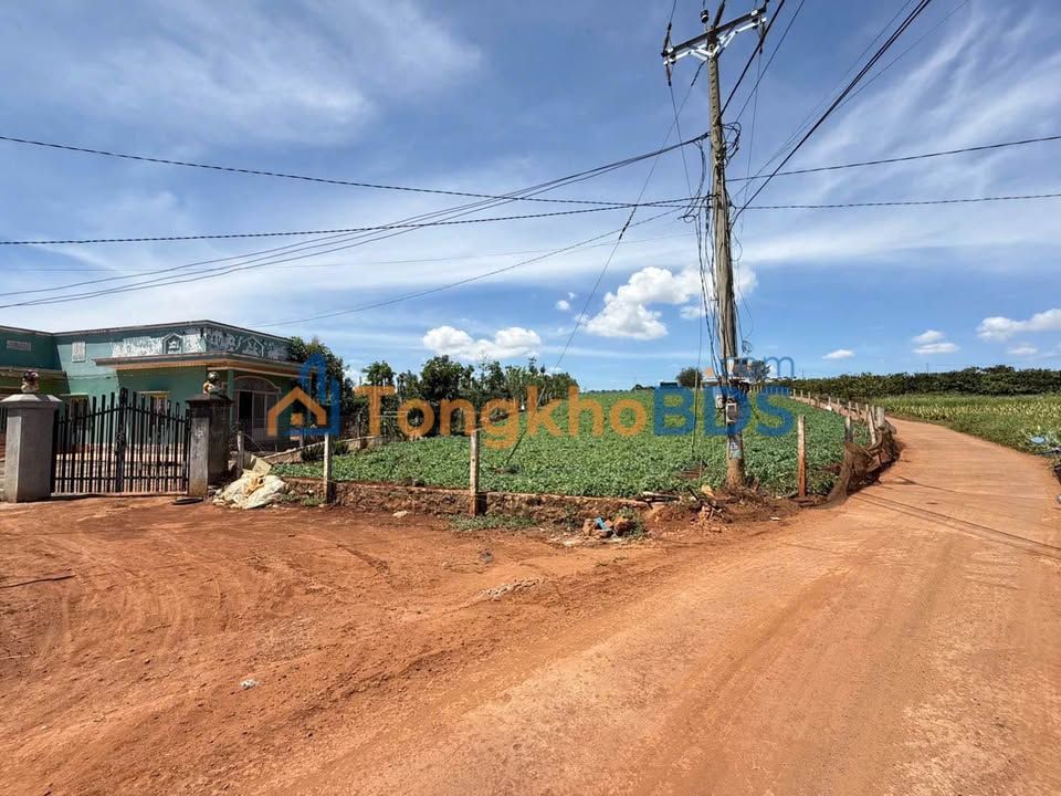 Đất 258m² Thị trấn Phùng, Đan Phượng - Sổ đỏ thổ cư, gần trường học